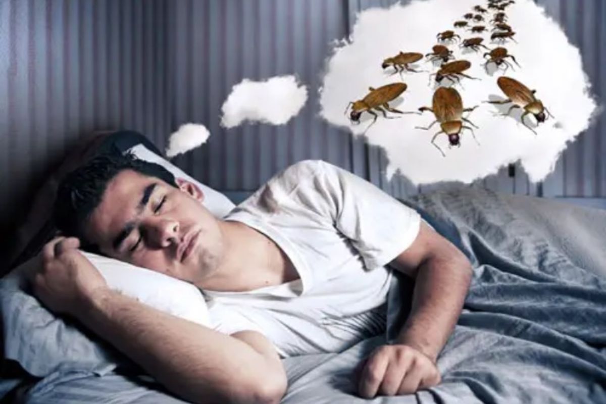 До чого сняться таргани